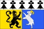 vlag van het departement Finistère
