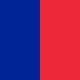vlag van het departement Parijs