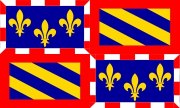 vlag van de regio Bourgondië
